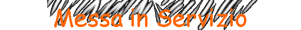 Messa in Servizio