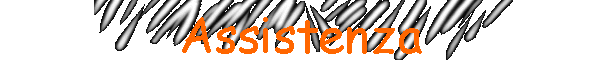 Assistenza